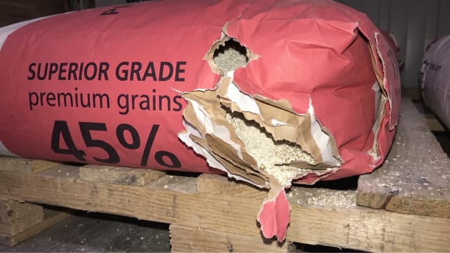 A large paper sack of grain is torn open on the side, exposing and spilling the contents onto the pallet.